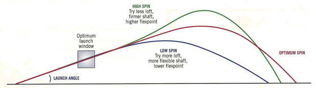 Effects of Spin